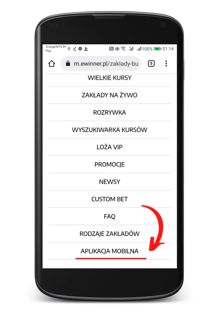 jak zainstalować apkę Ewinner na Android krok 2 - menu z aplikacją mobilną