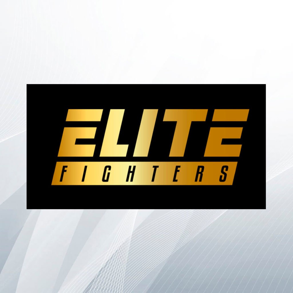 Elite Fighters